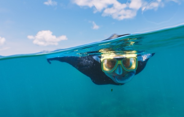 Snorkeling in clear blue water