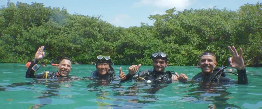 Casa Cenote and reef diving