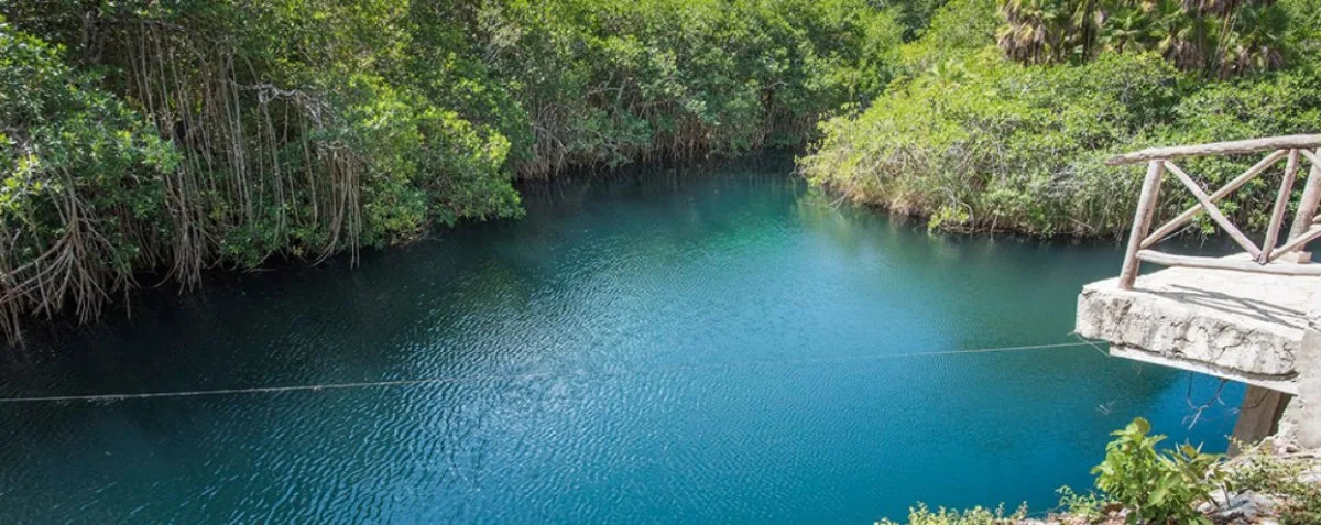 Scuba Tulum guided snorkeling experience