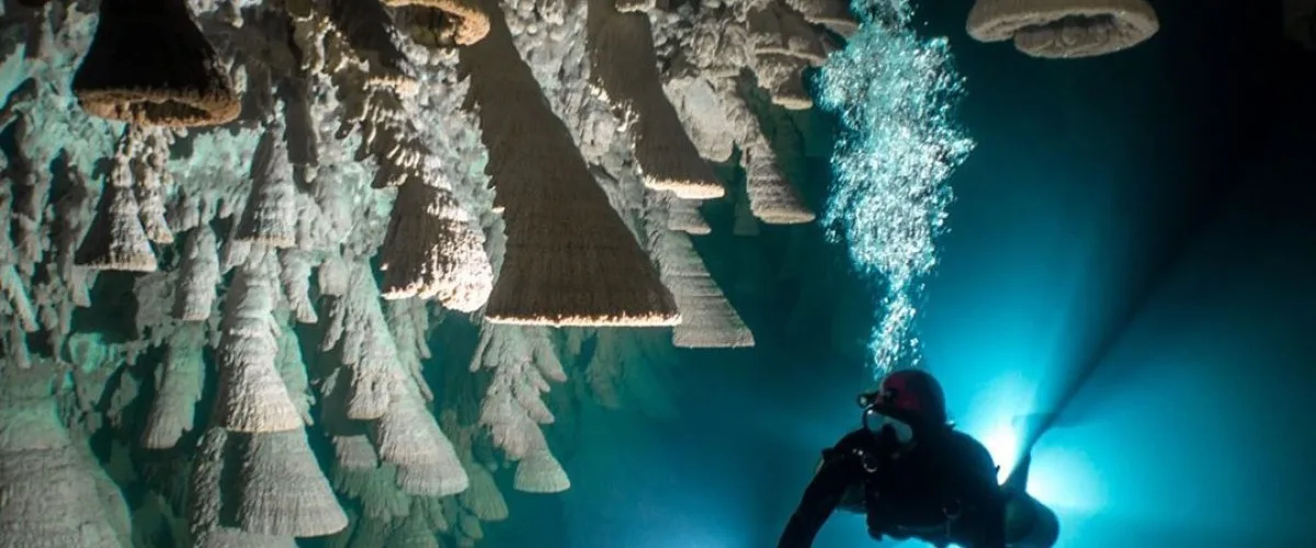 Zapote cenote near Tulum