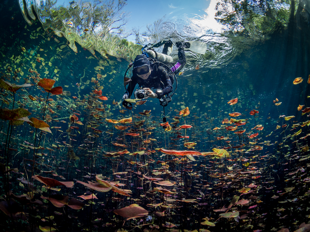 Best Cenote in Tulum