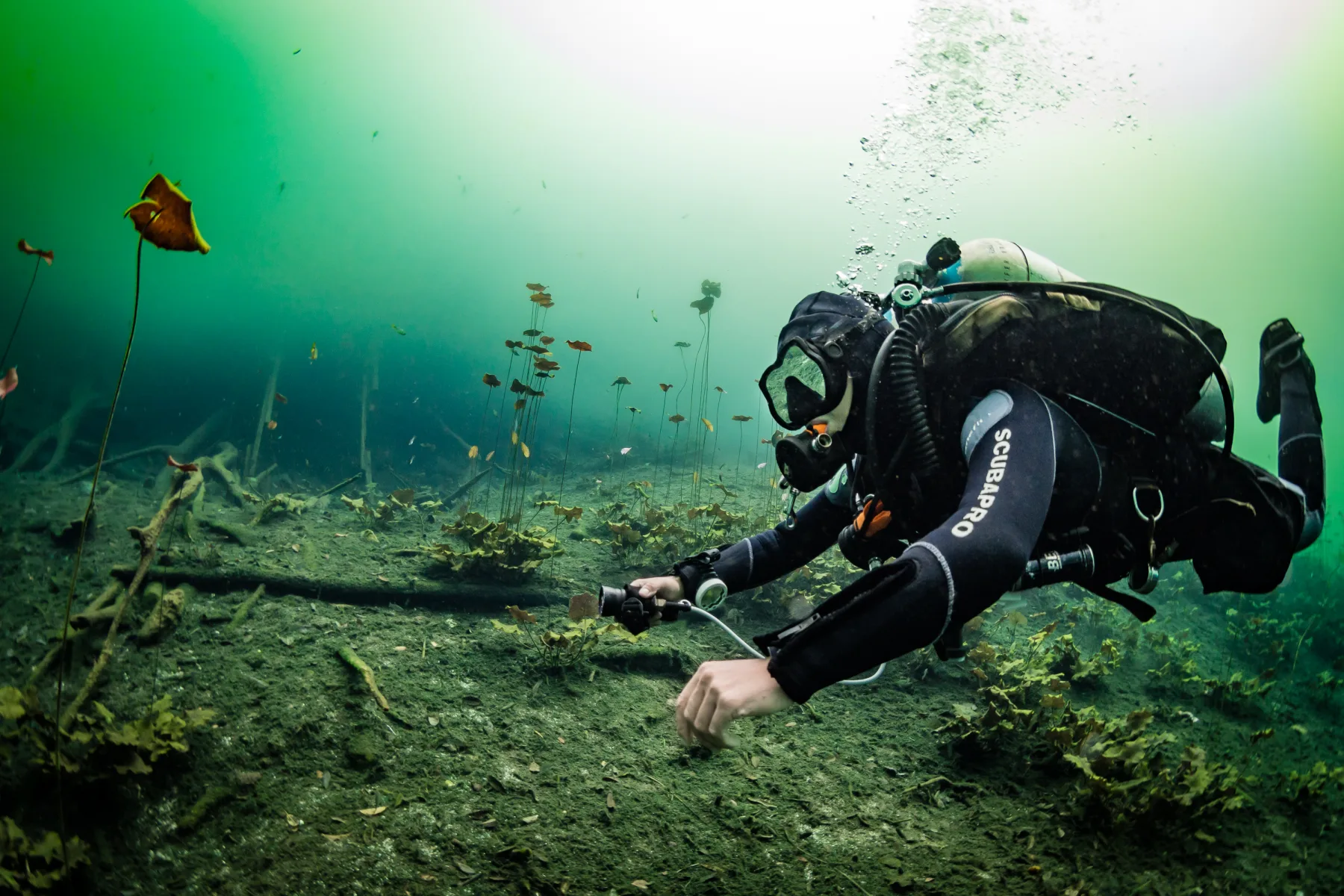 Carwash in the Scuba Tulum cenote guide