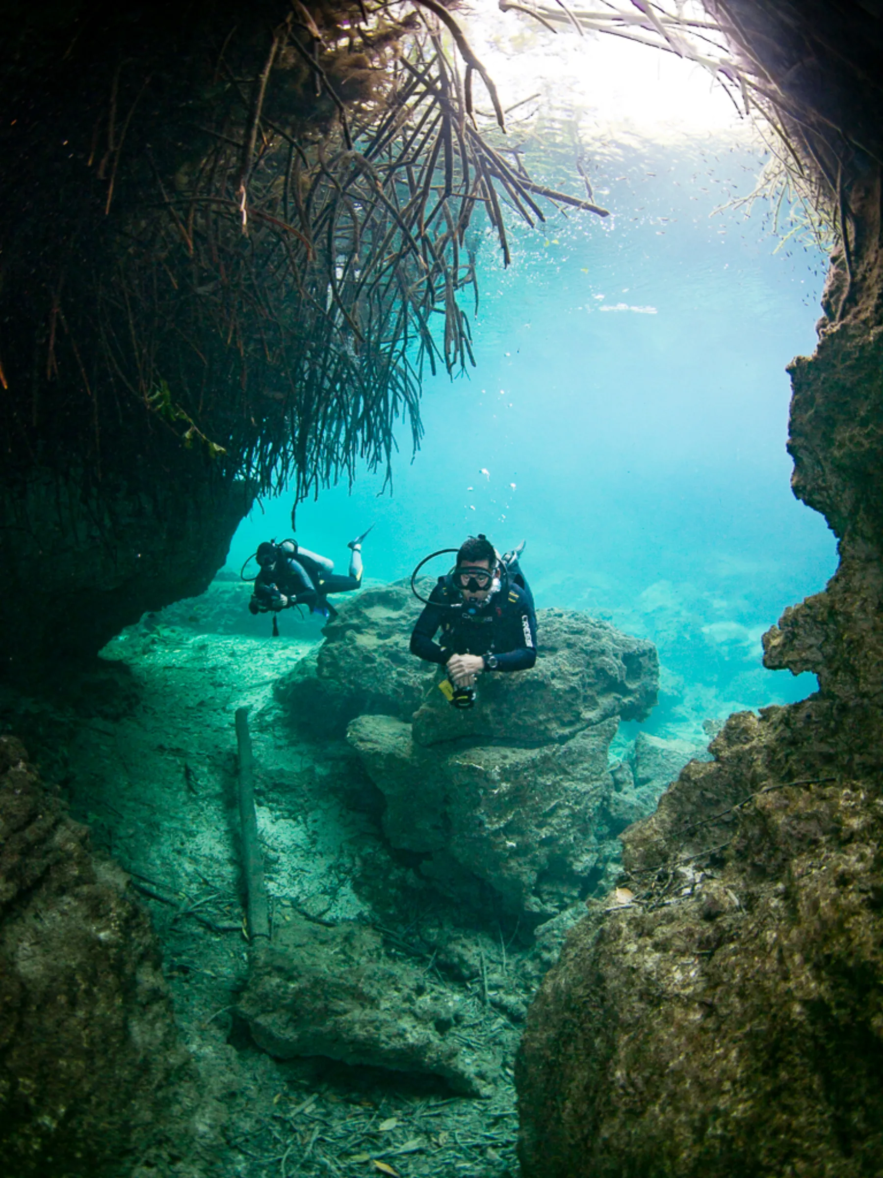 Casa Cenote cenote diving near Tulum