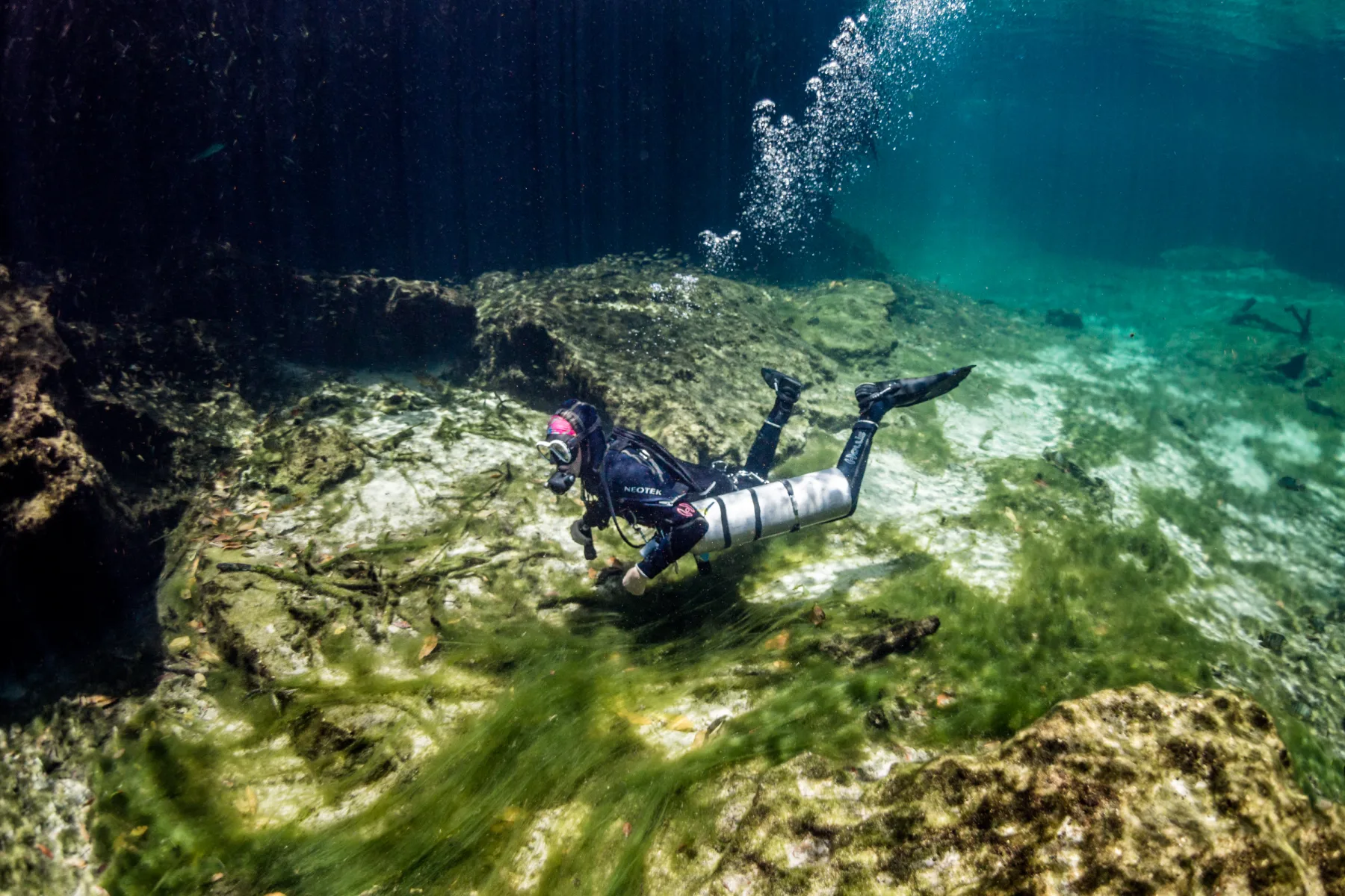 Casa Cenote cenote near Tulum