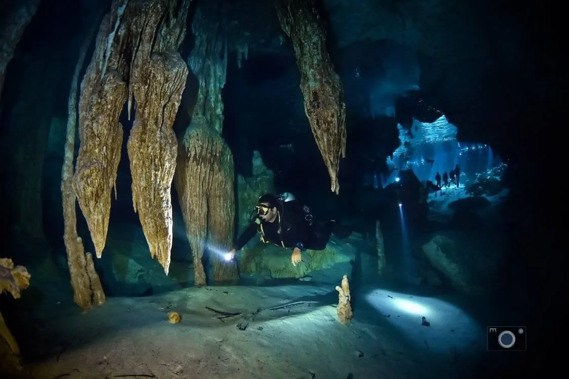 Cenote diving in clear water near Tulum and Playa del Carmen