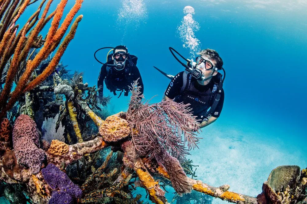Divemaster training in Tulum