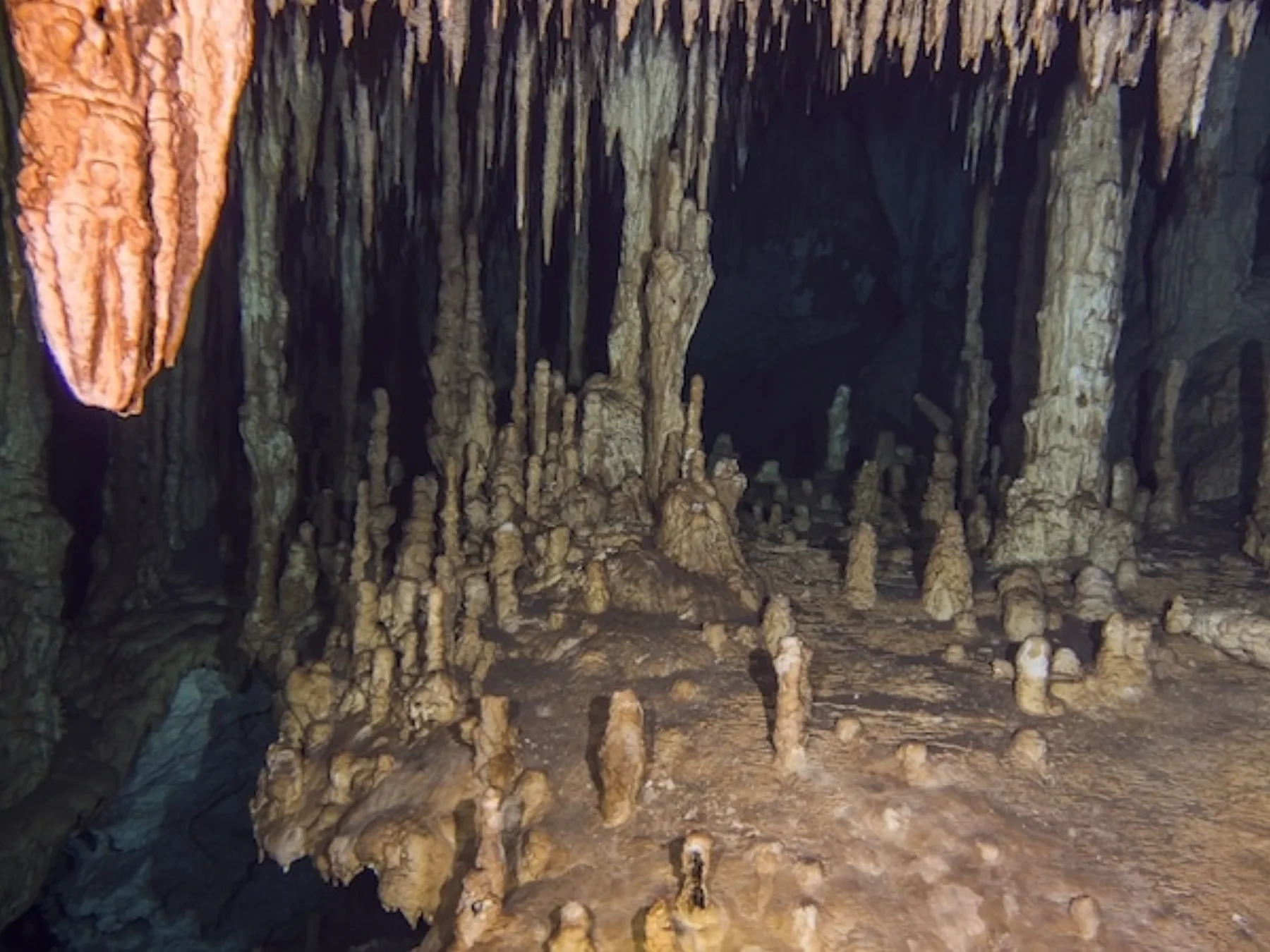 Dreamgate cenote diving near Tulum or Playa del Carmen
