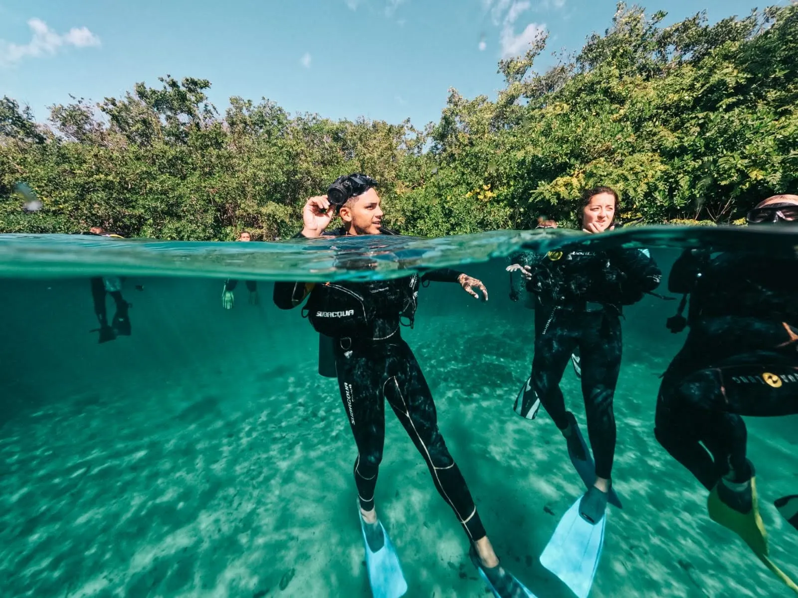 Divers at the clear surface of Casa Cenote