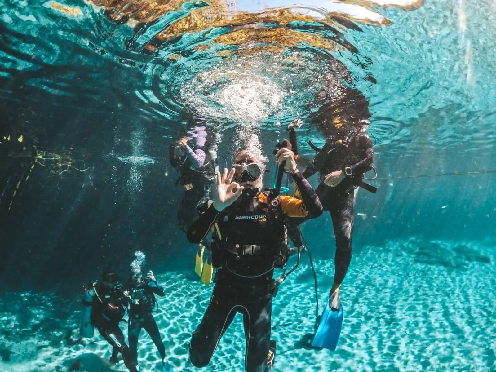 Group of divers gathered below the surface in Casa Cenote