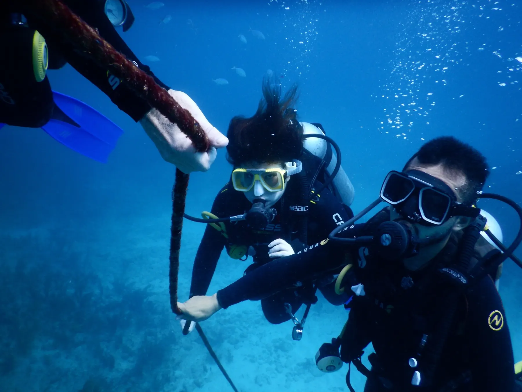 Two divers descending on a line in clear blue water
