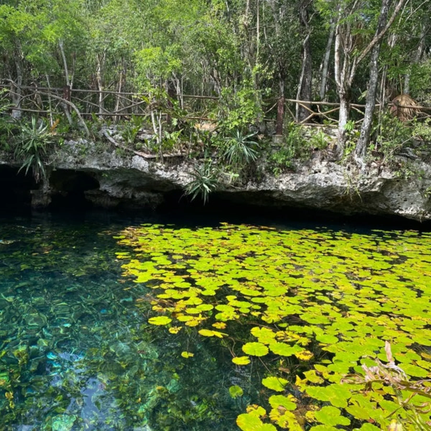 Nichte Ha cenote diving near Tulum or Playa del Carmen